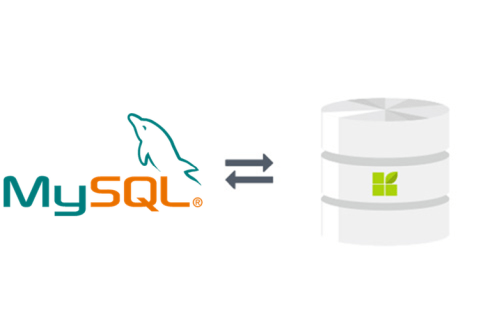 MySQL zu datapine Verbindung