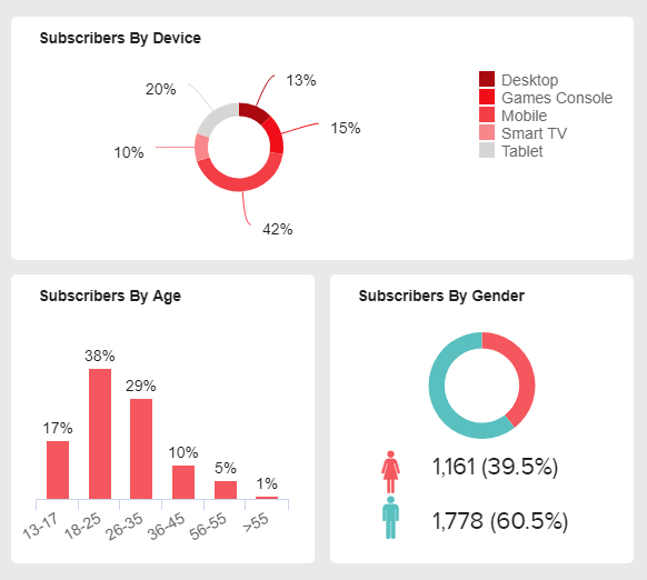 Datenvisualisierungen zur Veranschaulichung demografischer Merkmale von YouTube Abonnenten