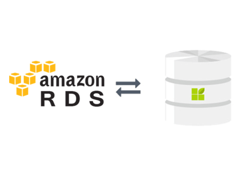 Amazon RDS (AWS) to datapine connection