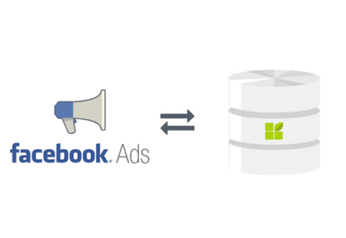 Facebook Ads to datapine connection