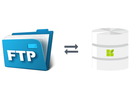 FTP Server connection to datapine