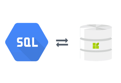 Google Cloud SQL to datapine connection
